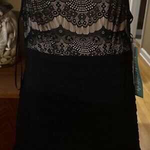 Scarlett Nite Dress Wmn 6 Black Sheer Lined Evening Cocktail Sleeveless Lace NWT